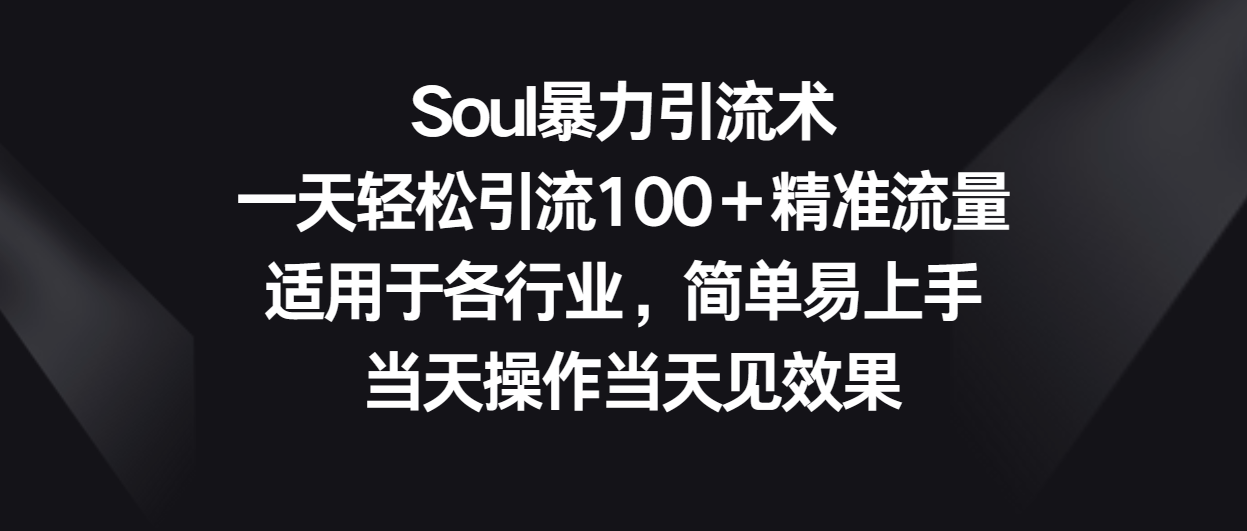 Soul暴力引流术，一天轻松引流100＋精准流量，适用于各行业，简单易上手！_网创之家