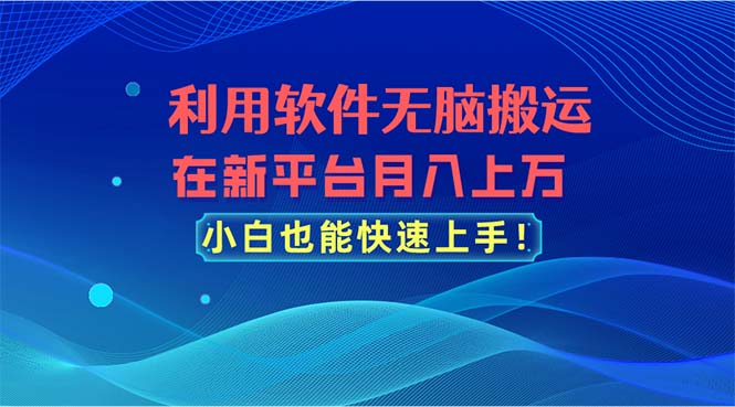 利用软件无脑搬运，在新平台月入上万，小白也能快速上手_网创之家