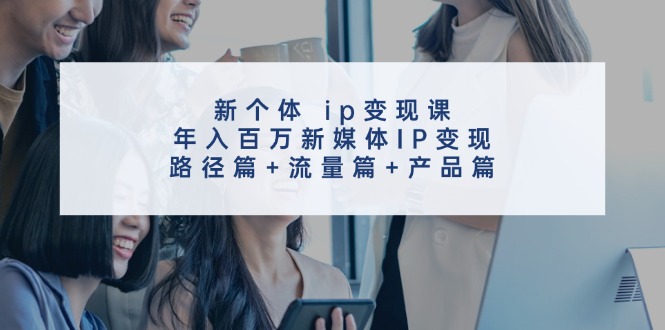 新个体 ip变现课，年入百万新媒体IP变现，路径篇+流量篇+产品篇_网创之家