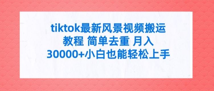 tiktok最新风景视频搬运教程 简单去重 月入3W+小白也能轻松上手【揭秘】_网创之家