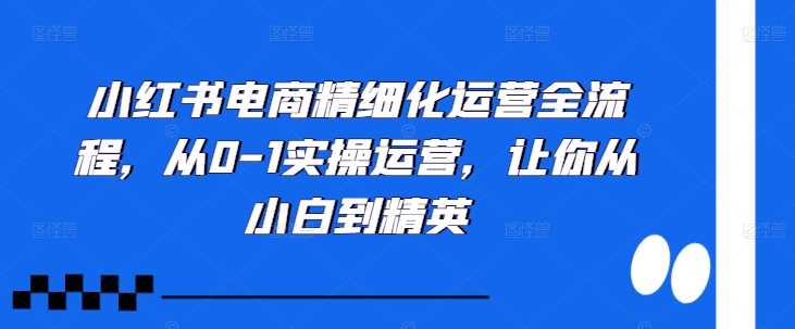 小红书电商精细化运营全流程，从0-1实操运营，让你从小白到精英_网创之家