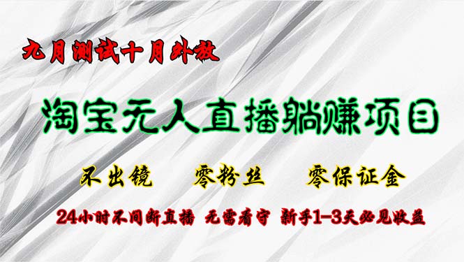 淘宝无人直播最新玩法，九月测试十月外放，不出镜零粉丝零保证金，24小…_网创之家