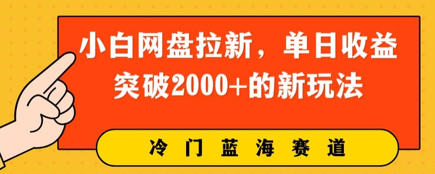 小白网盘引流，单日盈利提升2000 的新玩法_网创之家