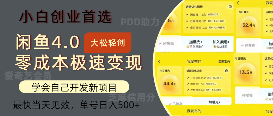 闲鱼0成本极速变现项目，多种变现方式 单号日入500+最新玩法_网创之家