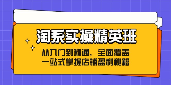 淘系实操精英班：从入门到精通，全面覆盖，一站式掌握店铺盈利秘籍_网创之家