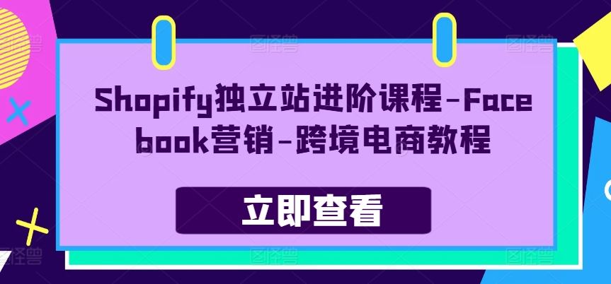 Shopify独立站进阶课程-Facebook营销-跨境电商教程_网创之家