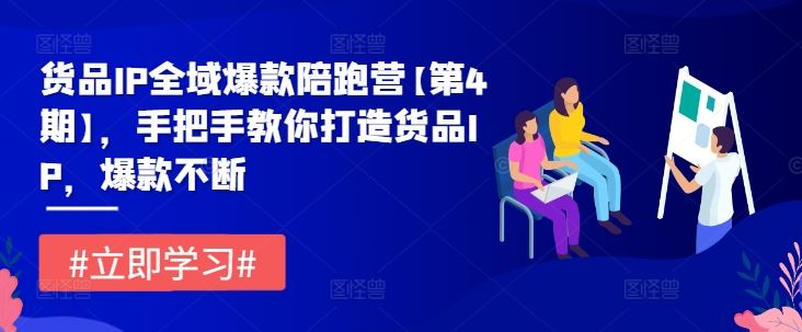 货品IP全域爆款陪跑营【第4期】，手把手教你打造货品IP，爆款不断_网创之家