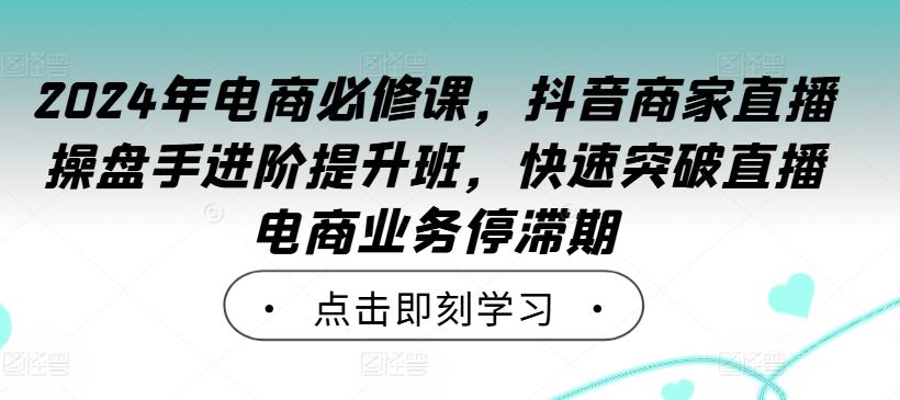 2024年电商必修课，抖音商家直播操盘手进阶提升班，快速突破直播电商业务停滞期_网创之家