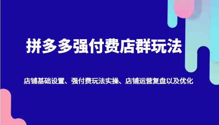 拼多多强付费店群玩法：店铺基础设置、强付费玩法实操、店铺运营复盘以及优化_网创之家