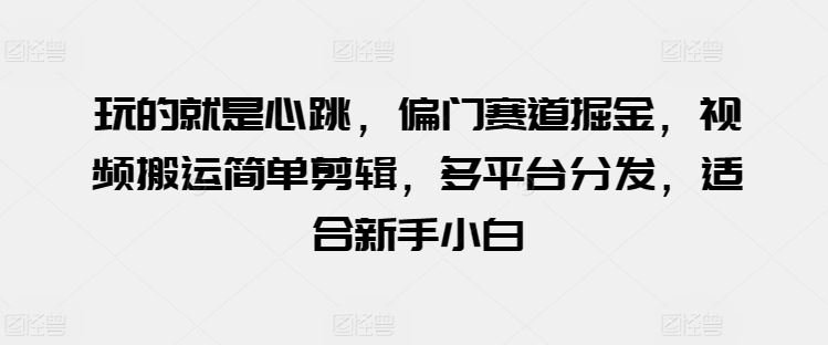 玩的就是心跳，偏门赛道掘金，视频搬运简单剪辑，多平台分发，适合新手小白【揭秘】_网创之家