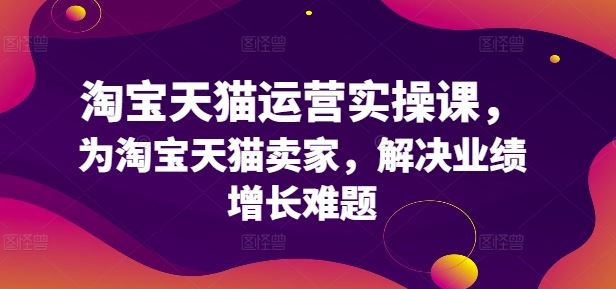 淘宝天猫运营实操课，为淘宝天猫卖家，解决业绩增长难题_网创之家