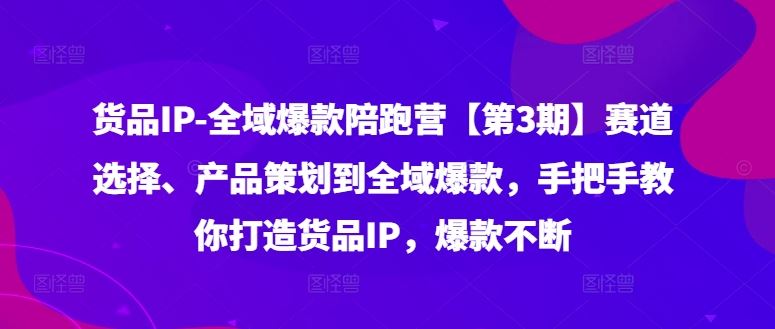 货品IP全域爆款陪跑营【第3期】赛道选择、产品策划到全域爆款，手把手教你打造货品IP，爆款不断_网创之家