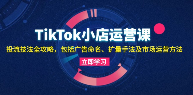 TikTok小店运营课：投流技法全攻略，包括广告命名 扩量手法及市场运营方法_网创之家