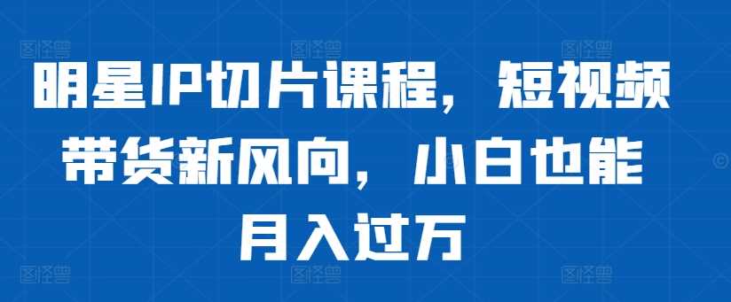 明星IP切片课程，短视频带货新风向，小白也能月入过万_网创之家