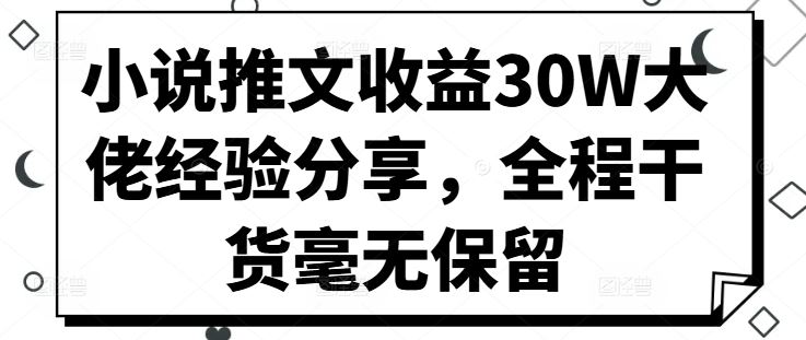 小说推文收益30W大佬经验分享，全程干货毫无保留_网创之家