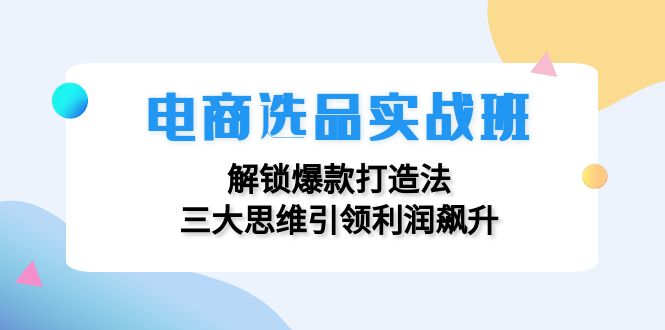 电商选品实战班：解锁爆款打造法，三大思维引领利润飙升_网创之家