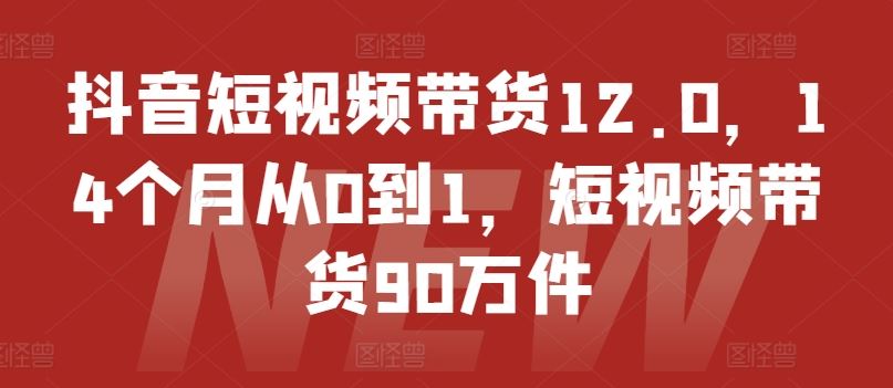 抖音短视频带货12.0，14个月从0到1，短视频带货90万件_网创之家