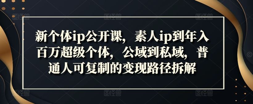 新个体ip公开课，素人ip到年入百万超级个体，公域到私域，普通人可复制的变现路径拆解_网创之家