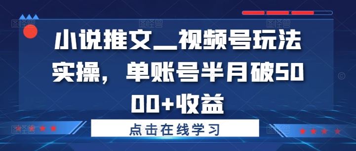 小说推文—视频号玩法实操，单账号半月破5000+收益_网创之家