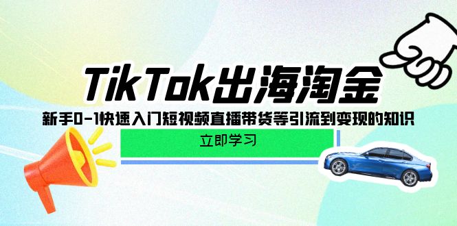 TikTok出海淘金项目玩法，新手快速入门短视频直播带货等引流到变现的知识_网创之家