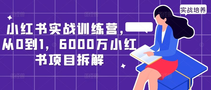 小红书实战训练营，从0到1，6000万小红书项目拆解_网创之家