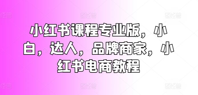 小红书课程专业版，小白，达人，品牌商家，小红书电商教程_网创之家